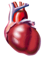 Grafik eines Herzens